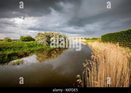 Dramatische Sturm Licht im Laufe des Nachmittags über die Royal Military Canal an Warehorne auf die Romney Marsh, Kent, Großbritannien. Stockfoto