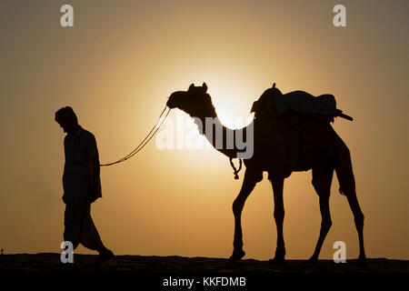 JAISALMER, Indien, 2. November 2017: Karawane der Kamele bei Sonnenuntergang in den Sand der Wüste. Mehrere Safaris in der Wüste sind für die Touristen durch l organisiert Stockfoto