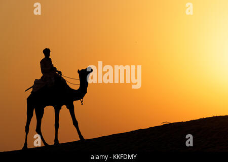 JAISALMER, Indien, 2. November 2017: Karawane der Kamele bei Sonnenuntergang in den Sand der Wüste. Mehrere Safaris in der Wüste sind für die Touristen durch l organisiert Stockfoto