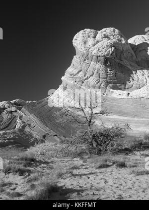 Rock Detail in der White Pocket, Paria Plateau, Vermilion Cliffs National Monument, Arizona. Stockfoto