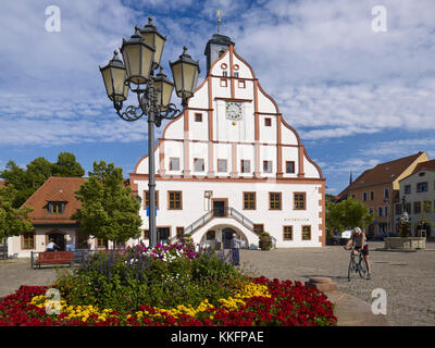 Rathaus auf dem Marktplatz in Grimma, Bezirk leipzig, Sachsen, Deutschland Stockfoto