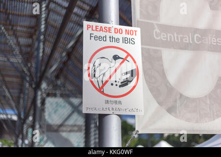 Schild "Bitte nicht füttern das Ibis' Stockfoto