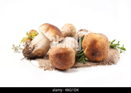 CEP Pilze mit frischer Thymian auf Entlassung Tuch über weiß Stockfoto