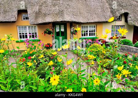 Malerischen traditionellen Reetdachhaus mit Garten Sommerblumen in Stadt Adare, County Limerick, Irland Stockfoto