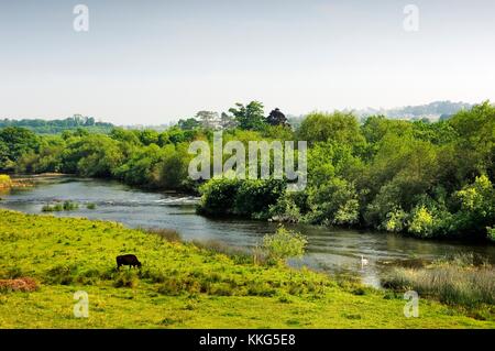 Ford am Fluss Boyne am Oldbridge dem König William der Orange zum Sieg gegen König James in der Schlacht am Boyne überquert. Stockfoto