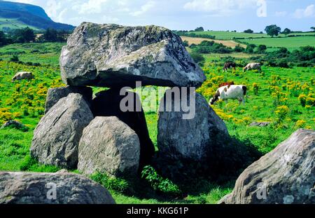 7, Teil von Carrowmore prähistorischen megalithische Friedhof, Grab mit Neigung von Knocknarea hinter. County Sligo, Irland. Stockfoto
