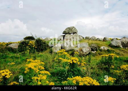 Eines der Bestattungen Dolmen in Carrowmore prähistorischen megalithische Friedhof, County Sligo, Irland. Stockfoto