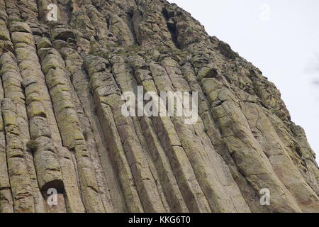 Rogers & ripley Beteiligung Leiter, Devils Tower national monument Stockfoto