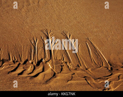 Muster im Sand zeigten sich bei Ebbe an einem North Norfolk Strand in East Runton, Norfolk, England, Großbritannien. Stockfoto