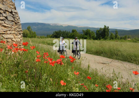 Radtour rund um den Vancluse Abteilung, Provence, Frankreich Stockfoto