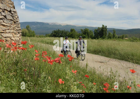 Radtour rund um den Vancluse Abteilung, Provence, Frankreich Stockfoto