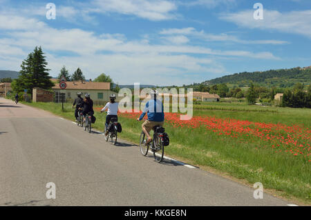 Radtour rund um den Vancluse Abteilung, Provence, Frankreich Stockfoto