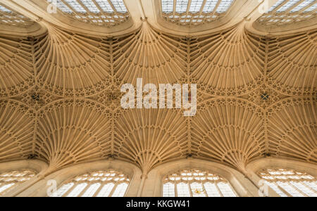 Decke der Abteikirche von Bath Stockfoto