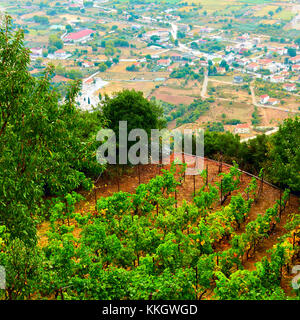 Kloster Weinberg auf der Terrasse im Felsen von Meteora, Griechenland Stockfoto