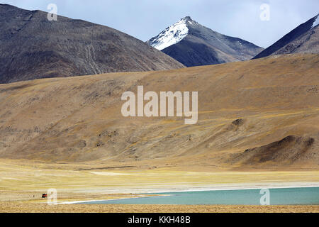 Ein einsamer 4x4 Auto mit einer Person, die in der trockenen und atemberaubende Landschaft bei Tso Kyagar in der Nähe von Tso Moriri, Ladakh, Jammu und Kaschmir, Indien. Stockfoto