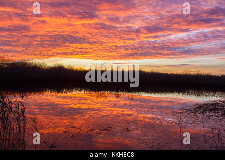 Burscough, Lancashire, Sonnenuntergang. 1. Dezember 2017. UK Wetter. Eine schöne Fischgr Sonnenuntergang ist in den Seen der Martin bloße Naturschutzgebiet im Burscough, Lancashire wider. Credit: cernan Elias/Alamy leben Nachrichten Stockfoto