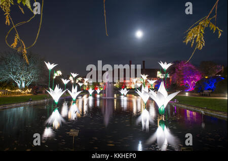 RHS Wisley, Surrey, Großbritannien. 1. Dezember, 2017. Fantastische riesige Blüten, dramatische Installationen, beleuchteten Bäume und der Mond Abend Besucher begrüßen zu Wisley während der Weihnachtszeit vom 1. Dezember 2017 - vom 3. Januar 2018 in Partnerschaft mit der Smart Energy GB. Credit: Malcolm Park/Alamy Leben Nachrichten. Stockfoto