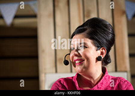 Birmingham, Großbritannien. 1. Dezember, 2017. Sharon Hearne Smith auf der Küche Bühne Winter erstellen zwei Rezepte aus ihren Büchern keinen Koch Kochbuch und keine Backen backen. Credit: Steven roe/Alamy leben Nachrichten Stockfoto