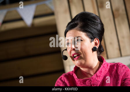 Birmingham, Großbritannien. 1. Dezember, 2017. Sharon Hearne Smith auf der Küche Bühne Winter erstellen zwei Rezepte aus ihren Büchern keinen Koch Kochbuch und keine Backen backen. Credit: Steven roe/Alamy leben Nachrichten Stockfoto