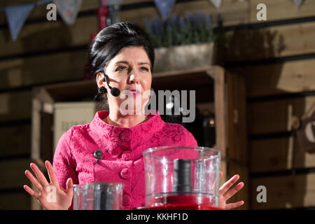 Birmingham, Großbritannien. 1. Dezember, 2017. Sharon Hearne Smith auf der Küche Bühne Winter erstellen zwei Rezepte aus ihren Büchern keinen Koch Kochbuch und keine Backen backen. Credit: Steven roe/Alamy leben Nachrichten Stockfoto