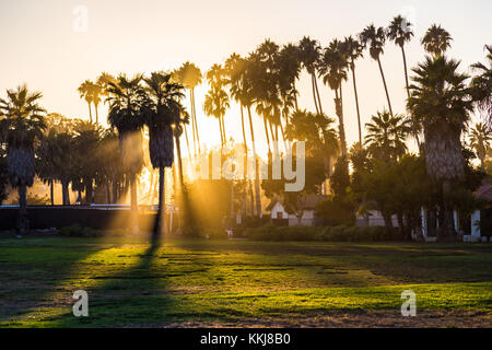 Silhouetten von Palmen bei Sonnenuntergang, Strand Santa Barbara, Südkalifornien, USA Stockfoto