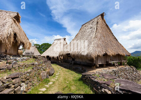 Strohdächer der traditionellen Häuser im Dorf in der Nähe von wologai Kelimutu in Ost Nusa Tenggara, Indonesien. Stockfoto