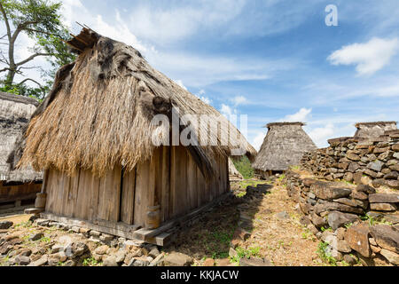 Traditionelle Häuser im Dorf in der Nähe von wologai Kelimutu in Ost Nusa Tenggara, Indonesien. Stockfoto