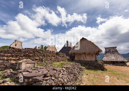 Traditionelle Häuser im Dorf in der Nähe von wologai Kelimutu in Ost Nusa Tenggara, Indonesien. Stockfoto