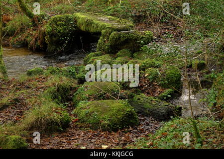 Alte bemoosten Stein einfach 1880 Brücke über einem Waldbach, dartmoor, Devon, Großbritannien Stockfoto