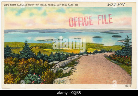 Fotografieren Sie die malerische aussicht von der Cadillac Mountain Road im Acadia National Park, Maine, und heben Sie die vielfältigen Landschaften des Parks hervor. Stockfoto