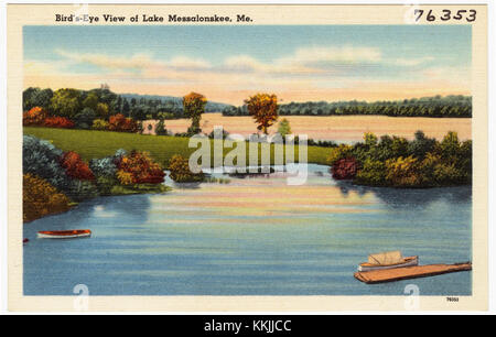 Dieser Blick aus der Vogelperspektive auf den Lake Messalonskee in Maine fängt die malerische Schönheit des Sees ein, umgeben von Wäldern und kleinen Städten. Es zeigt die natürliche Landschaft der Region und unterstreicht ihre Bedeutung für Freizeit und Umwelt. Stockfoto