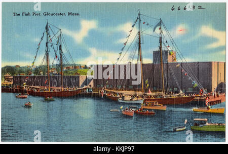 Der Fish Pier in Gloucester, Massachusetts, ist ein historischer Ort, der für seine Bedeutung in der Fischerei bekannt ist. Das Gebiet ist seit langem ein Drehkreuz für die Verarbeitung von Meeresfrüchten, den Seehandel und den lokalen Handel. Stockfoto