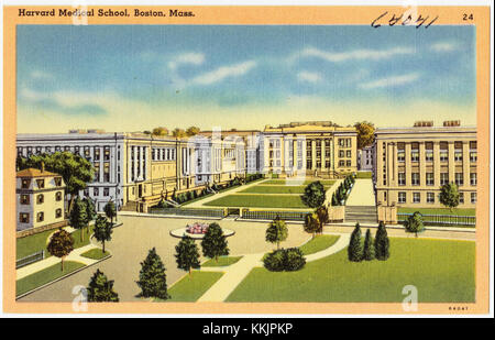 Harvard Medical School, Boston, Mass (64041) Stockfoto