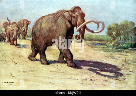 Das kolumbianische Mammuth (Mammuthus columbi) ist eine ausgestorbene Mammutart, die während des Pleistozäns lebte. Bekannt für seine Größe und seine langen, geschwungenen Stoßzähne, durchstreifte er den nordamerikanischen Kontinent und ist eine Schlüsselfigur in der prähistorischen Megafauna. Stockfoto