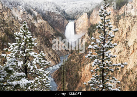 Lower Falls (308 ft) auf den Yellowstone River in der schneebedeckten Grand Canyon im Yellowstone, Yellowstone National Park Stockfoto