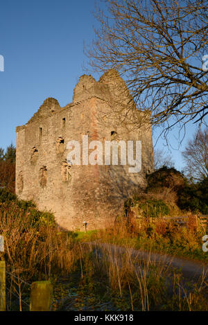 Die Ruinen von Newark Castle in den schottischen Borders Stockfoto