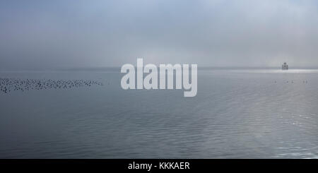 Winter am Bodensee, Lindau, Bayern, Deutschland, Europa Stockfoto