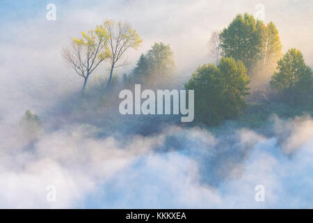 Nebel über den Fluss Adda von Airuno am Santuario Madonna della Rocchetta, Airuno, Parco dell'Adda Nord, Lecco Provinz Brianza, Lombardei, Italien gesehen Stockfoto