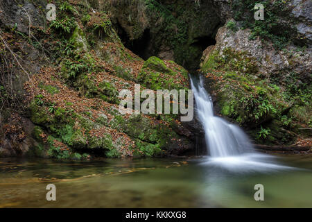 Wasserfall auf dem Rio Rancina Fluss im Herbst, masciago Primo, Parco Regionale Campo dei Fiori, Varese, Lombardei, Italien. Stockfoto