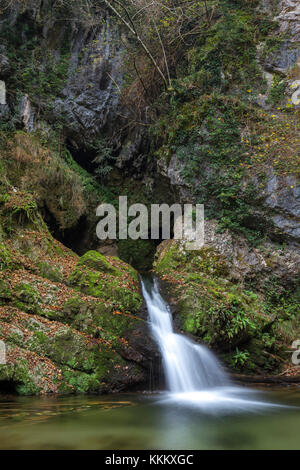 Wasserfall auf dem Rio Rancina Fluss im Herbst, masciago Primo, Parco Regionale Campo dei Fiori, Varese, Lombardei, Italien. Stockfoto