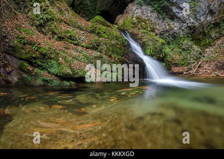 Wasserfall auf dem Rio Rancina Fluss im Herbst, masciago Primo, Parco Regionale Campo dei Fiori, Varese, Lombardei, Italien. Stockfoto