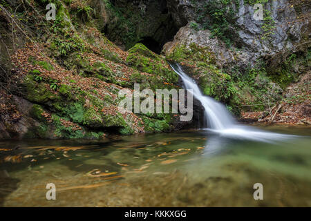 Wasserfall auf dem Rio Rancina Fluss im Herbst, masciago Primo, Parco Regionale Campo dei Fiori, Varese, Lombardei, Italien. Stockfoto