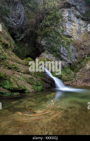 Wasserfall auf dem Rio Rancina Fluss im Herbst, masciago Primo, Parco Regionale Campo dei Fiori, Varese, Lombardei, Italien. Stockfoto