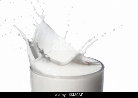Milch Spritzen aus einem Glas gegen einen weißen Hintergrund. high key. Bewegung. eingefroren. Aktion. Stockfoto