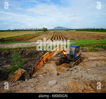 Mekong Delta, Vietnam - Aug 8, 2016. Ein Bagger arbeiten auf dem Reisfeld im Mekong Delta, Vietnam. 2,6 Mio. ha im Mekong Delta werden verwendet für Stockfoto