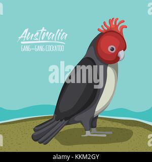 Australien Gang-gang cockatoo Poster im Freien Szene auf bunten Silhouette Stock Vektor