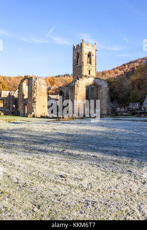 Eine frostige Herbst morgen bei den Ruinen von Mount Grace Priory, Osten Harlsey, North Yorkshire UK Stockfoto