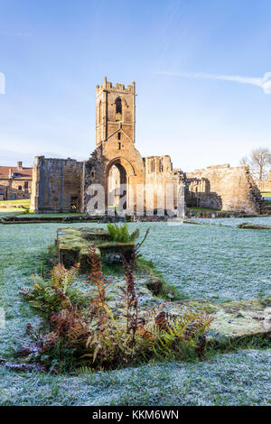 Eine frostige Herbst morgen bei den Ruinen von Mount Grace Priory, Osten Harlsey, North Yorkshire UK Stockfoto