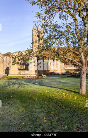 Eine frostige Herbst morgen bei den Ruinen von Mount Grace Priory, Osten Harlsey, North Yorkshire UK Stockfoto