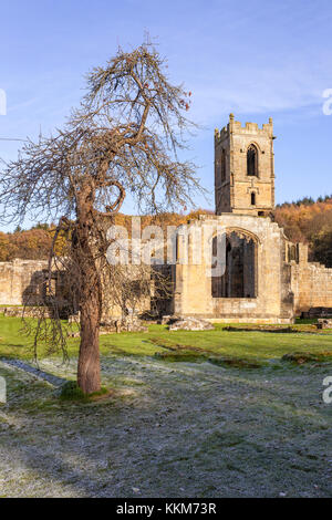 Eine frostige Herbst morgen bei den Ruinen von Mount Grace Priory, Osten Harlsey, North Yorkshire UK Stockfoto